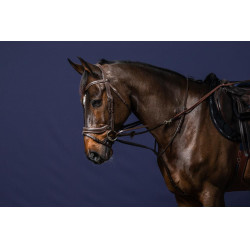 Riendas Howlett Goma 1/2 Con 7 Paradas Working By Dy'on