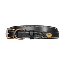 Collar de Cuero Plano para Perro Dy'on