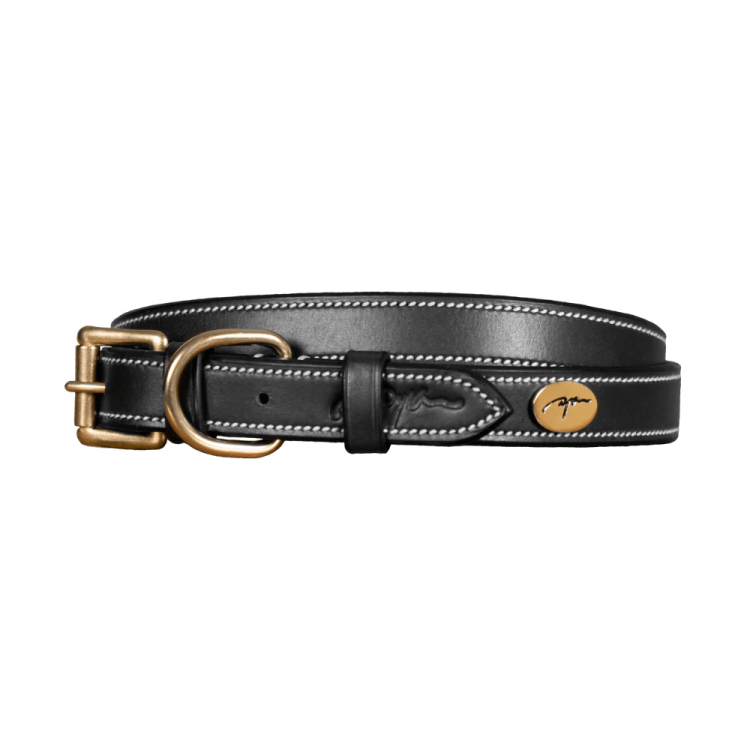 Collar de Cuero Plano para Perro Dy'on