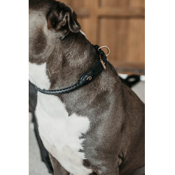 Collar trenzado para perro Dy'on