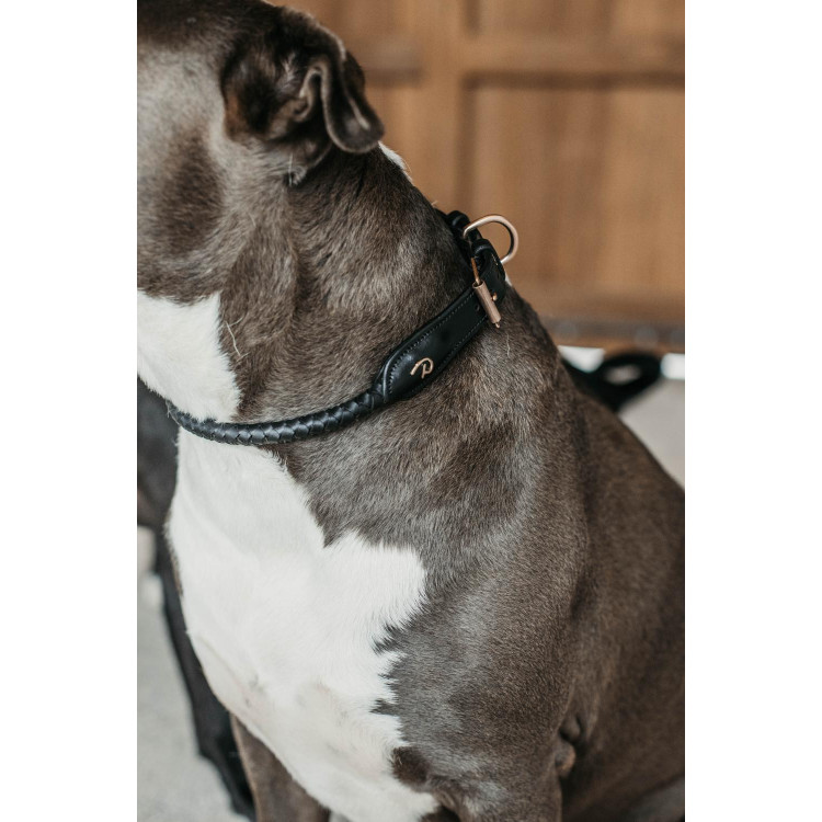 Collar trenzado para perro Dy'on