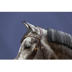 Brida Muserola Combinada D Collection by Dy'on Marrón