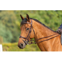 Brida Muserola Combinada New English Collection by Dy'on Marrón Brida Muserola Combinada New English Collection by Dy'on Marrón