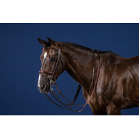 Brida Muserola Combinada New English Collection by Dy'on Marrón Brida Muserola Combinada New English Collection by Dy'on Marrón