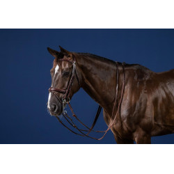 Brida Muserola Combinada New English Collection by Dy'on Marrón