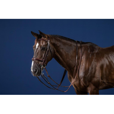 Brida Muserola Combinada New English Collection by Dy'on Marrón