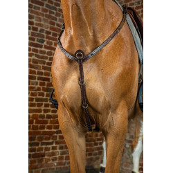 Pechopetral D Collection de Dy'on Marrón Pechopetral D Collection de Dy'on Marrón