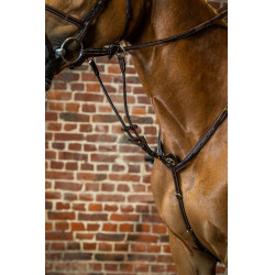 Horquilla de martingala con anillos elásticos D Collection de Dy'on Marrón