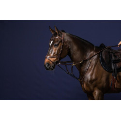 Horquilla Howlett D Collection por Dy'on