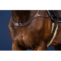 Pechopetral Anatómico Colección US de Dy'on Marrón