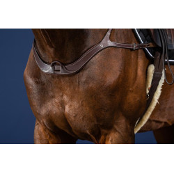 Pechopetral Anatómico Colección US de Dy'on Marrón