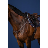 Pechopetral de Puente Largo US Collection de Dy'on Marrón