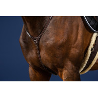 Yugo US Collection de Dy'on Marrón