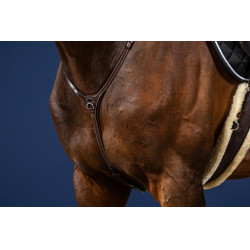 Yugo US Collection de Dy'on Marrón