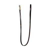 Correa Clásica para Perro Dy'on Marrón