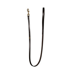 Correa Clásica para Perro Dy'on Marrón Marr&amp;oacute;n