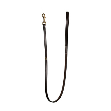 Correa Clásica para Perro Dy'on Marrón Marr&amp;oacute;n