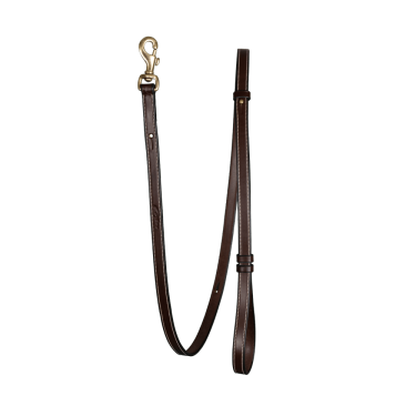 Correa para perro ajustable Dy'on Marrón