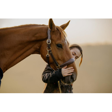 Cabezada de Cuero D Collection by Dy'on Marrón Cabezada de Cuero D Collection by Dy'on Marrón