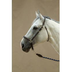Cabezada de Cepillado Working By Dy'on