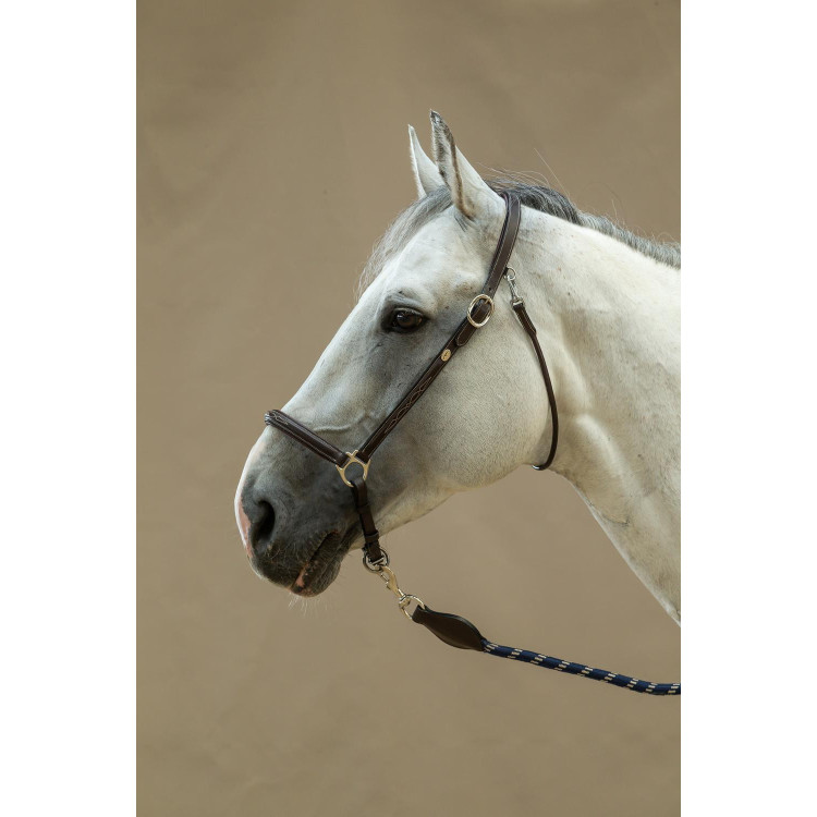 Cabezada de Cepillado Working By Dy'on