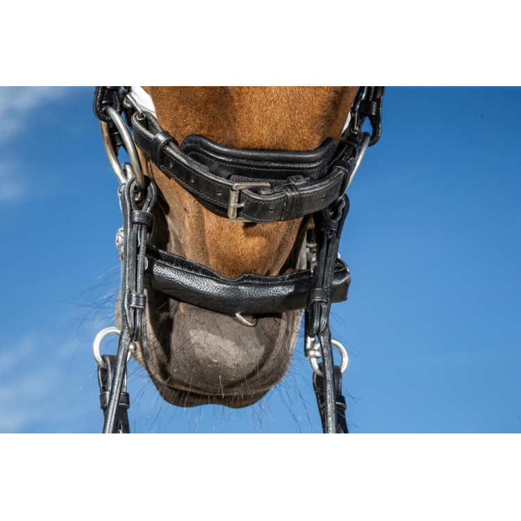 Protector de barbada con neopreno Dy'on