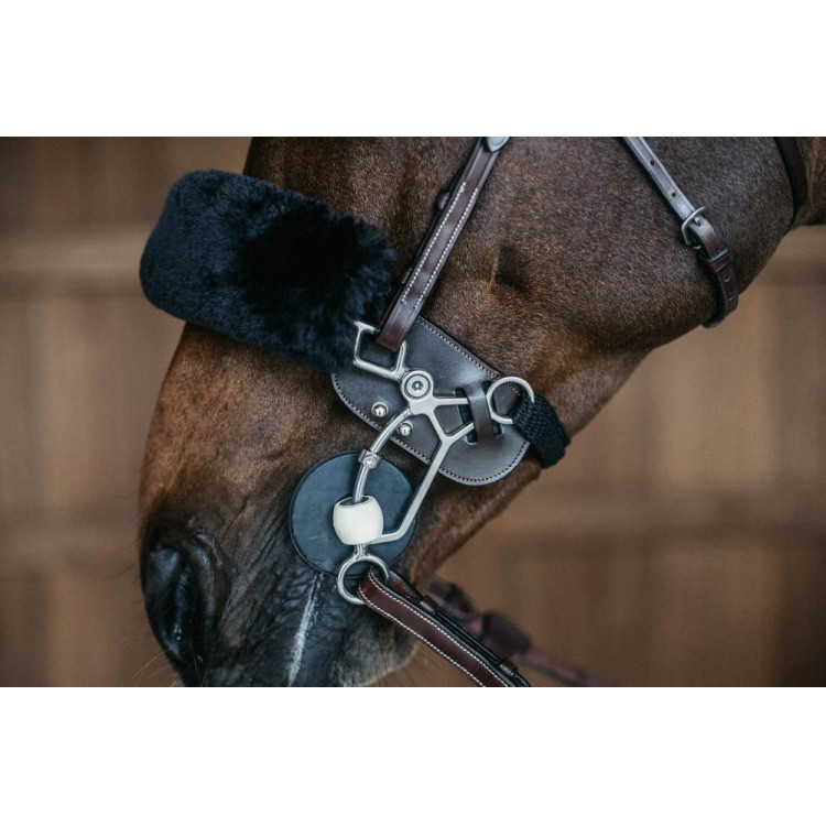 Protección de Hackamore Dy'on