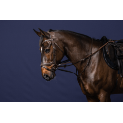 Enrénamiento Howlett Working By Dy'on