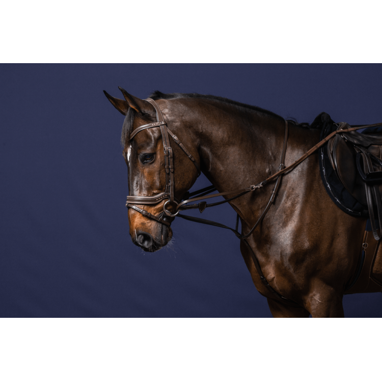 Enrénamiento Howlett Working By Dy'on