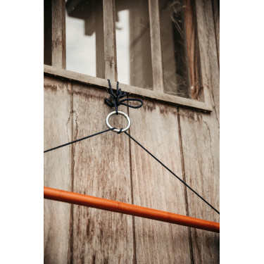 Porta-alfombras de Lujo Grooming Deluxe by Kentucky Marrón Porta-alfombras de Lujo Grooming Deluxe by Kentucky Marrón