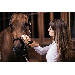 Cepillo suave con cerdas suaves Grooming Deluxe by Kentucky Cepillo suave con cerdas suaves Grooming Deluxe by Kentucky