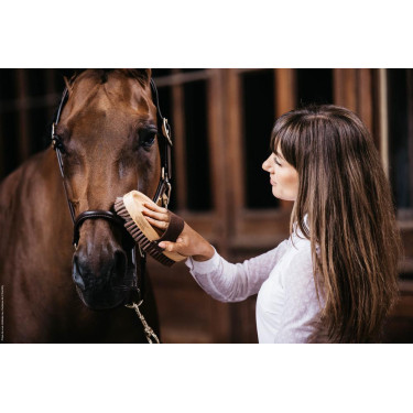 Cepillo suave con cerdas suaves Grooming Deluxe by Kentucky Cepillo suave con cerdas suaves Grooming Deluxe by Kentucky