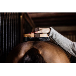 Cepillo suave con cerdas duras Grooming Deluxe by Kentucky