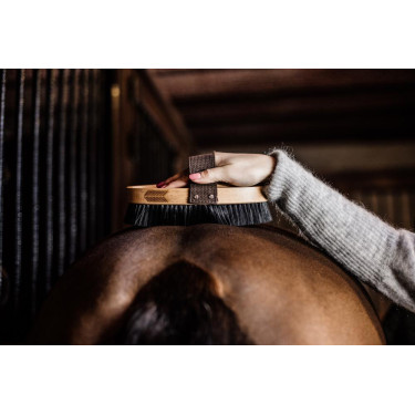 Cepillo suave con cerdas duras Grooming Deluxe by Kentucky Cepillo suave con cerdas duras Grooming Deluxe by Kentucky