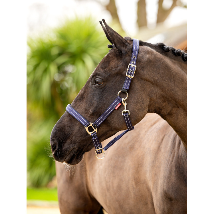 Cabezada de neopreno LeMieux Essential Yard Cabezada de neopreno LeMieux Essential Yard