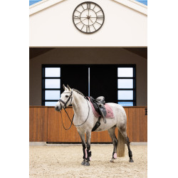 Protectores de menudillo Imperial Riding Lovely Protectores de menudillo Imperial Riding Lovely