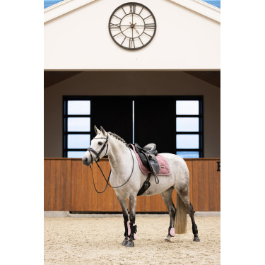 Protectores de menudillo Imperial Riding Lovely Protectores de menudillo Imperial Riding Lovely