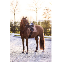 Protectores de menudillo Imperial Riding Lovely Capuchino Marr&amp;amp;amp;oacute;n