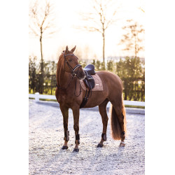 Protectores de menudillo Imperial Riding Lovely Capuchino Marr&amp;amp;amp;oacute;n