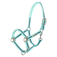 Licol HV Polo Classic Stripe Púrpura