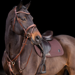Martingala HV Polo Legacy