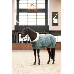 Manta polar Imperial Riding Ambient Galaxy Verde salvia Manta polar Imperial Riding Ambient Galaxy Verde salvia