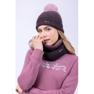 Sudadera con capucha HV Polo Ariel Malva Violeta
