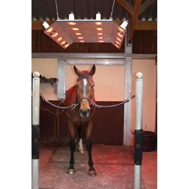 Solarium S20L EVOlution