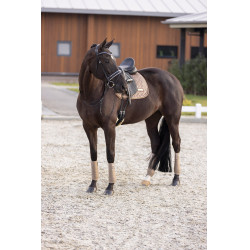 Almohadilla de montar Imperial Riding Sky DR Capuchino Marrón