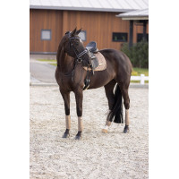 Manta de montar Imperial Riding Sky GP Capuchino Marrón Manta de montar Imperial Riding Sky GP Capuchino Marrón