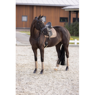 Manta de montar Imperial Riding Sky GP Capuchino Marrón