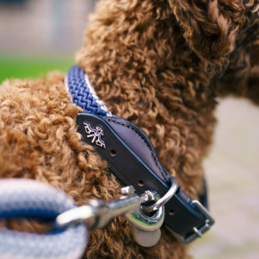 Collar para perro HV Polo Franka Rope Collar para perro HV Polo Franka Rope