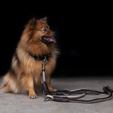 Collar para perro HV Polo Franka Rope Marrón / beige Marr&amp;amp;amp;oacute;n