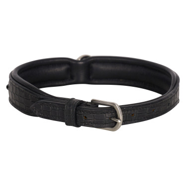 Collar para perro Imperial Riding Florida